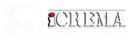 icremaglobal.com